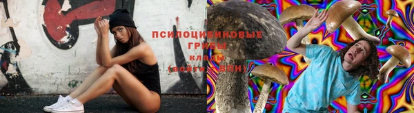 прущий лед Лиски
